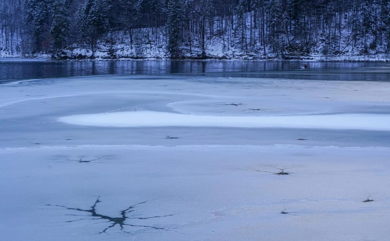 9 летний ребёнок утонул провалившись под лёд на Усманке Трагедия произошла 15 декабря в селе Бабяково Когда лёд треснул на нём находились двое детей Одного ребёнка спас очевидец а второй ушёл под воду СК возбуждено уголовное дело vrn aif ru incidents details devyatiletniy rebyonok utonul provalivshis pod lyod na usmanke pod voronezhem aifvrn