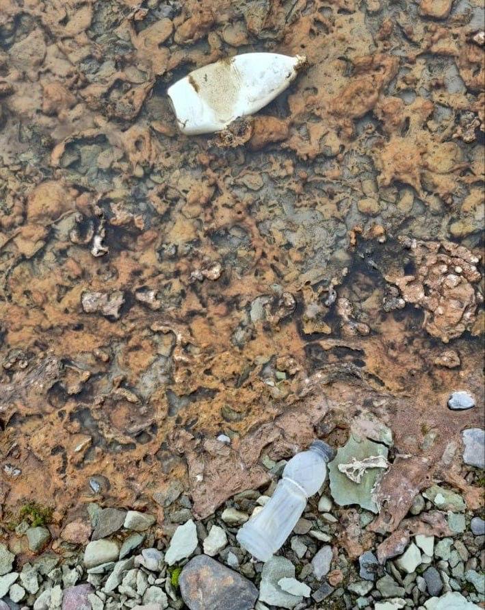 Федор Конюхов собрал в Антарктиде более 100 килограммов различного пластика Там путешественник уже три месяца изучает загрязнение прибрежных вод микропластиком В начале экспедиции мы говорили про микропластик в водах Антарктиды но я вижу здесь не нужны приборы для определения наличия микропластика достаточно пройти по берегу признался он