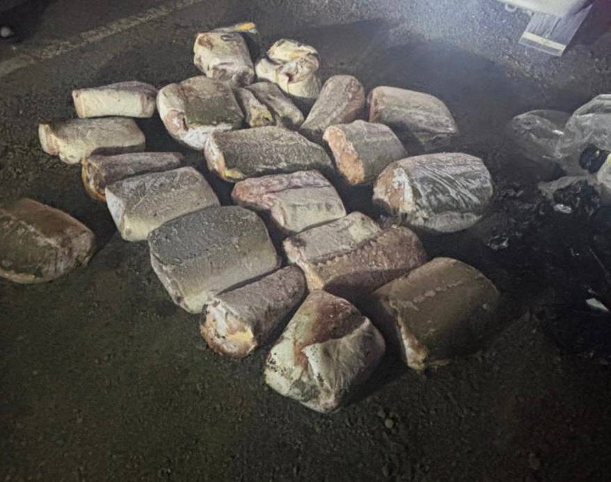  В Комсомольском районе полицейские задержали подозреваемого в незаконной перевозке рыбы осетровых пород У 29-летнего жителя с. Большая Картель в автомобиле обнаружены и изъяты 23 замороженных фрагмента краснокнижной рыбы. Сотрудники ДПС Госавтоинспекции ОМВД России по Комсомольскому району на автодороге сообщением Хабаровск - г. Комсомольск-на-Амуре остановили для проверки автомобиль. В ходе осмотра в багажнике транспортного средства полицейские обнаружили и изъяли 5 полимерных мешков, в которых находились 2 3 замороженных фрагмента рыб осетровых пород. Установлено, что деликатес перевозил 29-летний водитель автомобиля. С его слов, на автодороге неизвестные мужчины за денежное вознаграждение попросили автолюбителя довезти мешки с деликатесом и передать человеку который встретит в конечной точке маршрута. О находящихся в багаже запрещенных водных биологических ресурсах житель с. Большая Картель знал. Отделом дознания ОМВД России по Комсомольскому району возбуждено уголовное дело. В отношении подозреваемого избрана мера процессуального принуждения - обязательство о явке. Биоресурсы находятся на ответственном хранении. Транспортное средство помещено на специализированную охраняемую стоянку. #мвд27 #ПолицияХабаровскогокрая #КриминальныеНовости Официальный сайт УМВД России по Хабаровскому краю