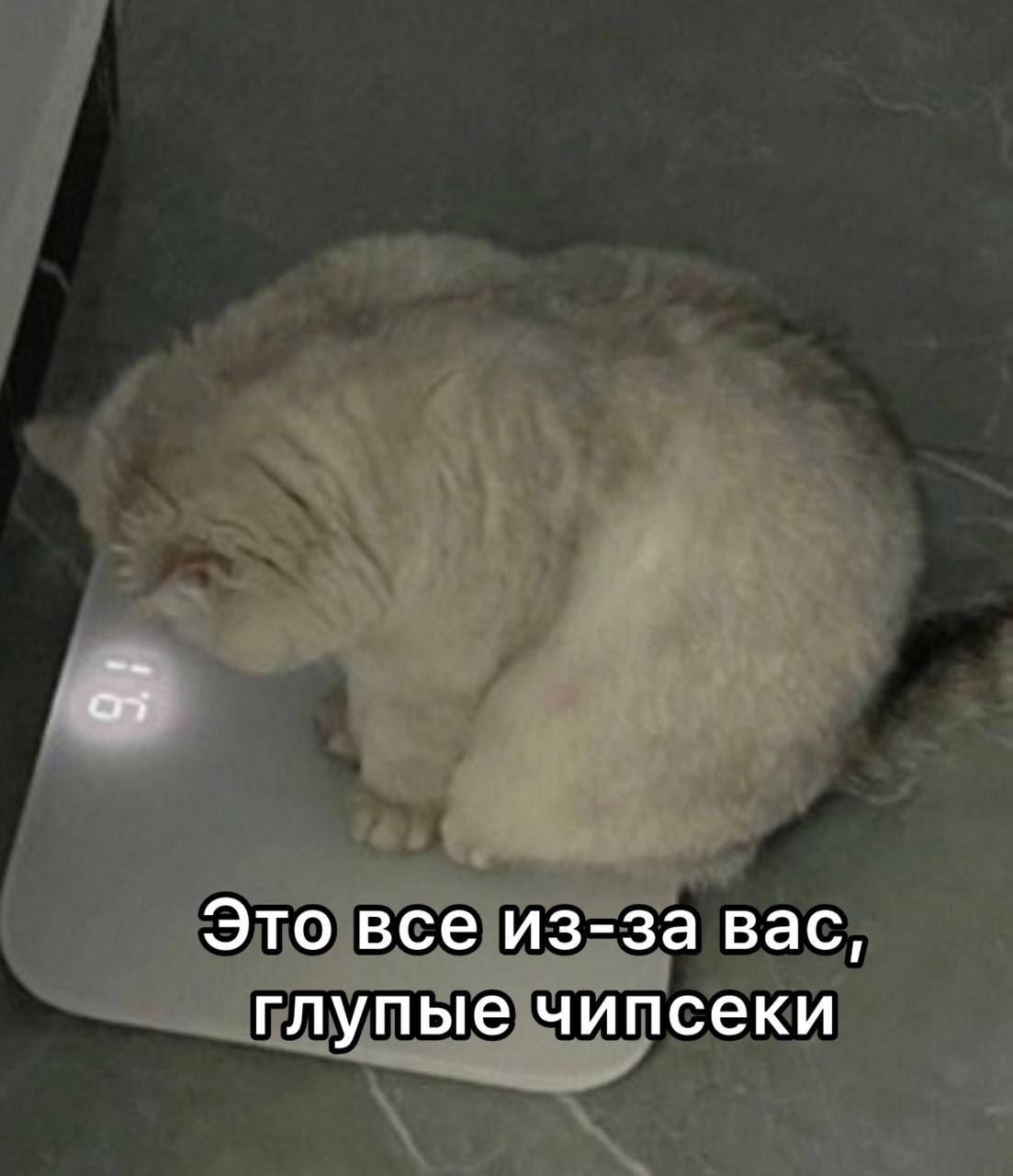 Налог на чипсы и фастфуд предлагают ввести в РФ Инициативу направили в правительство на фоне роста ожирения населения за 5 лет заболеваемость выросла на 52 ОК Старый Оскол в МАХ Подписывайся на okoskol   Прислать новость за вознаграждение