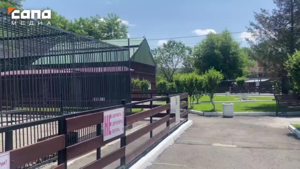 Во Владикавказе зоопарк внедряет практику шефства над животными и планирует расширение