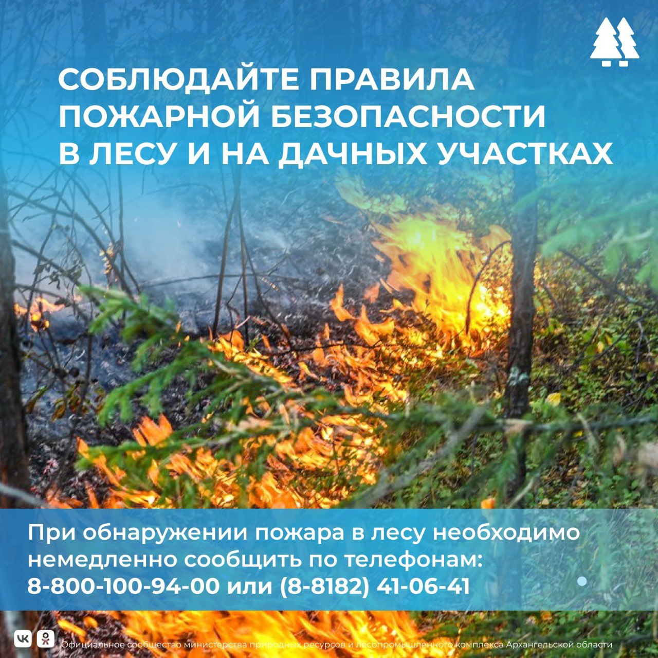Основным виновником лесных пожаров является человек – его небрежность при пользовании в лесу огнем во время отдыха. Большинство возгораний возникает в результате сельскохозяйственных палов, сжигания мусора, в местах пикников, от брошенной горящей спички или непотушенной сигареты. С 1 мая на территории Архангельской области действует пожароопасный сезон. В этот период в лесу категорически ЗАПРЕЩАЕТСЯ: бросать на землю непотушенные окурки и спички; сжигать мусор; разводить костёр; применять во время охоты пыжи из тлеющего материала; оставлять мусор, особенно стекло и пропитанный горючей жидкостью обтирочный материал. За нарушение правил предусмотрена административная и уголовная ответственность.