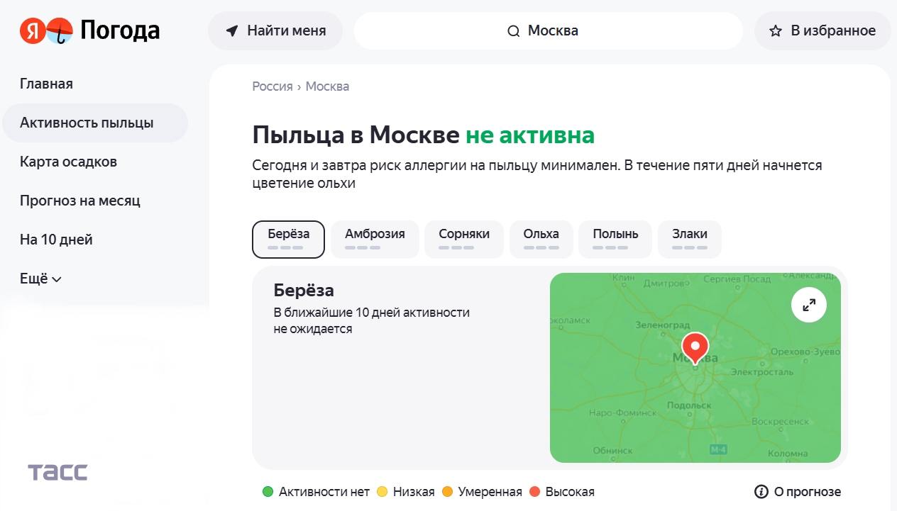 "Яндекс погода" запустила сервис для аллергиков, который позволит получать предупреждение о начале сезона цветения. Об этом ТАСС сообщили в пресс-службе компании.  Сервис "Активность пыльцы" рассчитывает активность шести аллергенов: пыльцы березы, ольхи, амброзии, полыни, злаков и сорняков.     / Москва