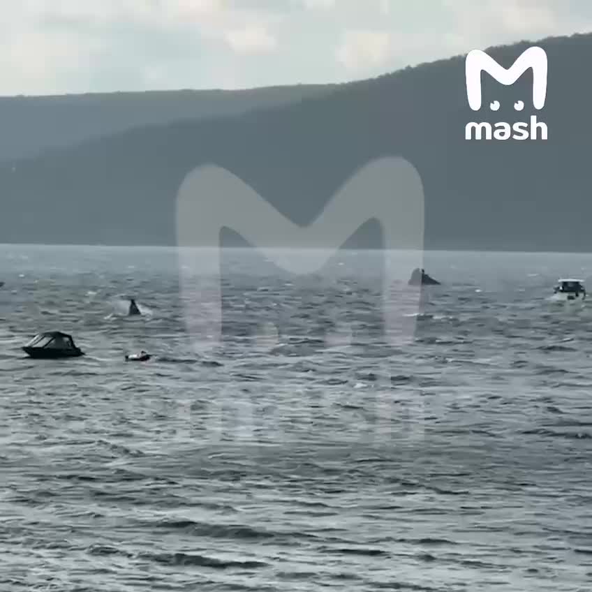 На Волге перевернулся самодельный плавучий дом: спасены 3 человека, продолжаются поиски еще одного