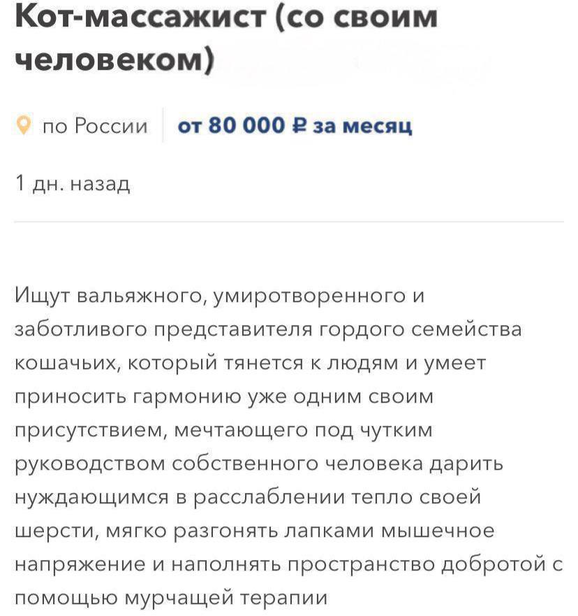 В Москве открыта необычная вакансия: требуется кот-массажист с ежемесячной зарплатой 80 тысяч рублей В обязанности пушистого специалиста будет входить снятие мышечного напряжения у клиентов путем хождения лапами по их спинам, а также создание уютной атмосферы мурлыканьем. Работодатель обещает оплачиваемый больничный, вакцинацию, отпуск и неограниченное питание KOSTI