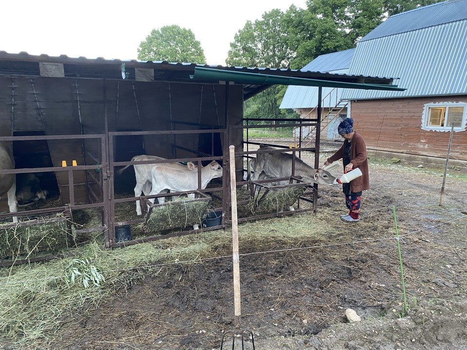 В Ростовской области введут субсидии для фермеров из за падения цен на молоко Ростовские власти запустили программу поддержки молочных производителей из за резкого падения цен на сырое молоко Министр сельского хозяйства Анна Касьяненко объяснила что переработчики молока столкнулись с ростом затрат а люди стали меньше покупать готовую молочку В итоге цены на сырье упали и под удар попали фермеры и владельцы личных подсобных хозяйств Чтобы они не разорились и не начали резать коров в донском минсельхозе ввели субсидию Деньги будут платить за каждый килограмм молока которое фермер продал переработчикам Главные условия поголовье должно сохраниться а всю реализацию нужно подтверждать электронными документами Для владельцев ЛПХ есть дополнительное требование вести хозяйство не меньше года и иметь официальный налоговый статус