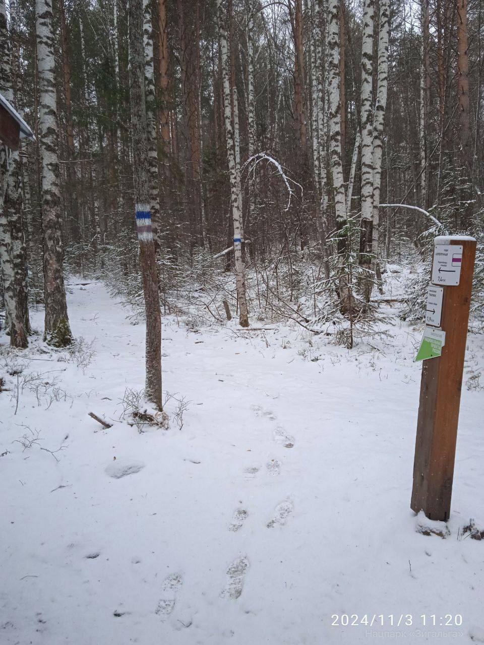 Настоящая зима пришла в нацпарк Зигальга  Там выпало почти 10 см. снега и установился постоянный снежный покров. В прошлом году это случилось только в середине ноября.  Предзимье в нацпарке закончилось, и температура больше не поднимется выше нуля.   А вы уже ждете снег в Челябинске?    Подписаться   Прислать новость