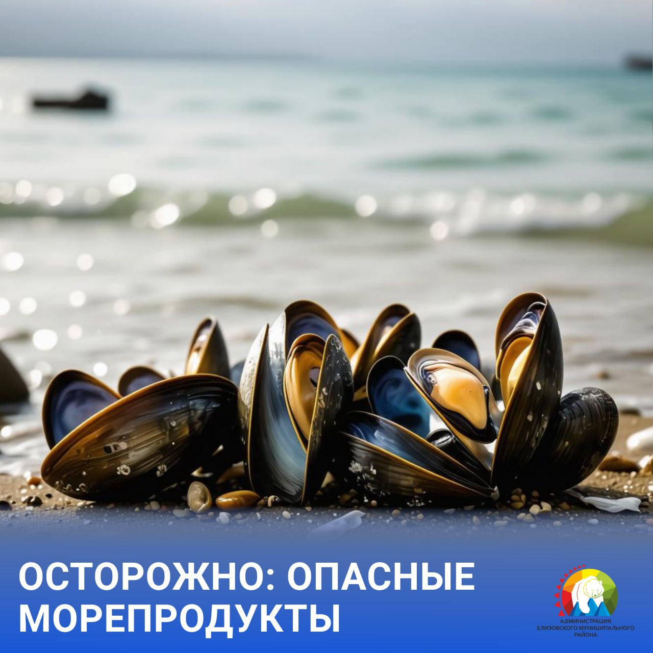 В июле 2025 года Камчатский филиал Тихоокеанского института географии ДВО РАН в водах Авачинской губы от бухты Моховая до полуострова Завойко зафиксировал интенсивное окрашивание воды в красный цвет Анализ проб воды в районе мыса Сигнального 15 июля показал что численность микроводорослей Alexandrium tamarense в поверхностном слое воды составила 136 тыс клеток на 1 л Данный вид микроводорослей является продуцентом мощного нейропаралитического яда Подробности здесь При дальнейшем мониторинге концентрации микроводорослей Alexandrium tamarense установлен второй пик их численности 1 2 млн клеток на литр с 27 августа по 3 сентября Учитывая то что мидии и другие гидробионты могут оставаться токсичными в течение 1 2 месяцев жителям и гостям Камчатки необходимо знать что употребление морепродуктов выловленных в Авачинской губе опасно для жизни до окончания навигации маломерного флота ЕМР общество