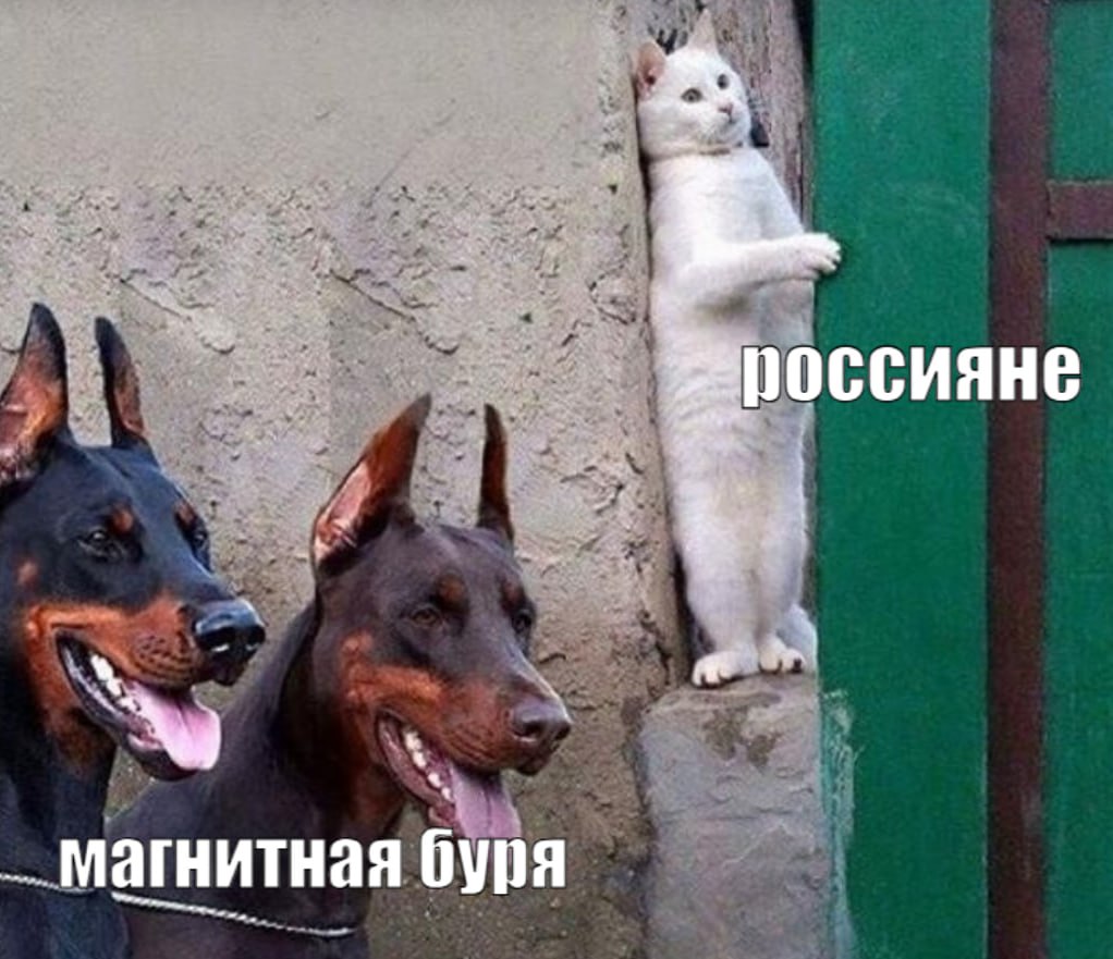 На Солнце началась серия сильных вспышек: прогноз магнитных бурь с 26 мая по 1 июня В ночь на 25 мая на Солнце случилась вспышка высшего класса X. Взрыв был быстрым и продолжался около 17 минут. Впрочем, экстремально сильной вспышка не была, специалисты Лаборатории солнечной астрономии Института космических исследований РАН оценили ее уровень как X1.1 при максимуме X9 . С другой стороны, ученые обратили внимание, что в одной и той же активной области на Солнце за последние пару дней произошла целая серия вспышек. К чему же готовиться? В Институте прикладной геофизики Росгидромета предупреждают, сегодня, 26 мая, на Солнце ожидаются вспышки класса Х максимального , в том числе протонные. При этом геомагнитное поле будет спокойное с отдельными периодами неустойчивости. Выдыхаем! Магнитных бурь в понедельник не предвидится. Магнитное поле Земли будет спокойным также в течение всех суток 27 и 28 мая. Ожидают магнитную бурю в четверг, 29 мая, и в воскресенье, 1 июня. В пятницу, 30 мая, геомагнитное поле, скорее всего, будет возбужденным. В субботу, 31 мая - спокойным.