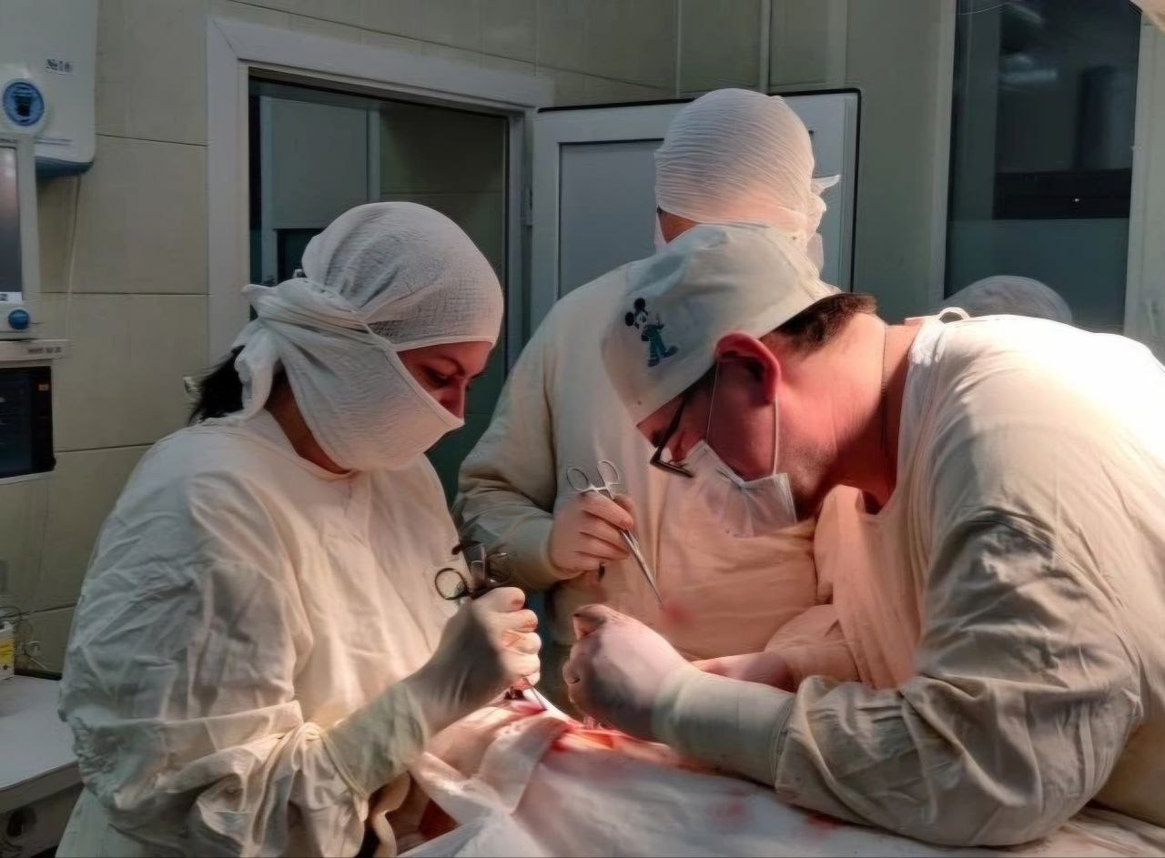 Кировские медики спасли женщину с тяжелым колото резаным ранением шеи В критическом состоянии она поступила в Центр травматологии ортопедии и нейрохирургии в конце прошлого года Основная сложность оперативного вмешательства состояла в необходимости восстановления целостности верхнего сегмента пищеварительного тракта и входа в гортань Нашей первостепенной задачей было сохранение ключевых функций гортаноглотки чтобы пациентка могла самостоятельно дышать говорить и принимать пищу Операция прошла успешно все функции удалось сохранить рассказал нейрохирург Александр Попов Послеоперационный период прошел без осложнений и женщина была выписана с улучшением на дальнейшее амбулаторное наблюдение При выписке она уже могла самостоятельно принимать пищу и говорить Подписывайтесь на канал Кировской области в MAX