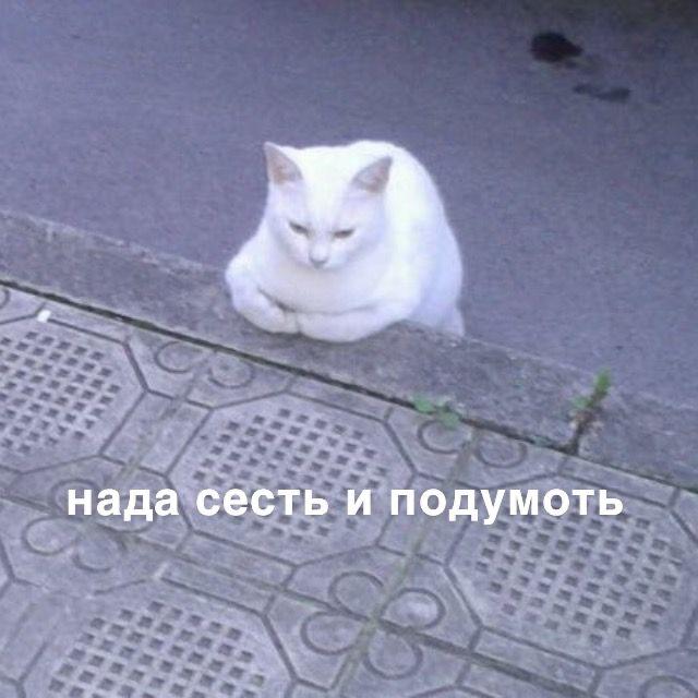 За каждый участок в центре застройщикам КРТ придется делать что то на окраинах города Власти решили изменить правила распределения земли по программе Комплексного развития территорий В краевом минстрое рассказали chitaru75 что предыдущие торги сорвались в мае а теперь к каждому перспективному участку в центре планируют добавлять землю в Черновском и Ингодинском районах Читы Также сдвинулись и сроки реализации Изначально в решения о КРТ включались территории находящиеся в центре города в настоящее время в эти решения включаются многоквартирные аварийные дома расположенные на окраинах города поселок Ивановка село Застепь поселок Энергетиков поселок Антипиха и так далее Вносятся изменения в принятые решения по реализации проектов комплексного развития территорий В программу включаются новые территории на окраинах Читы а также планы по расселению аварийного жилого фонда города Шесть площадок сейчас почти готовы договоры о комплексном развитии территорий планируют заключить до 1 декабря Еще 10 площадок планируют распределить между застройщиками до 1 февраля 2026 года а 19 площадок до 31 декабря 2026 года После распределений застройщик сначала должен расселить всех жильцов а потом начинать стройку Он будет обязан построить не только многоэтажки но и школы детские сады парки и другие важные объекты Подписаться