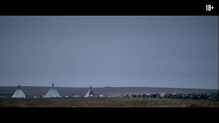 Кинопремьера мистического триллера 'Цинга' с Никитой Ефремовым состоится 26 февраля