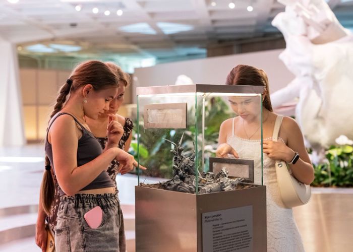 Более 22 миллионов человек в прошлом году посетили московские выставки и музеи Это почти на треть больше чем годом ранее сообщает пресс служба городского департамента культуры