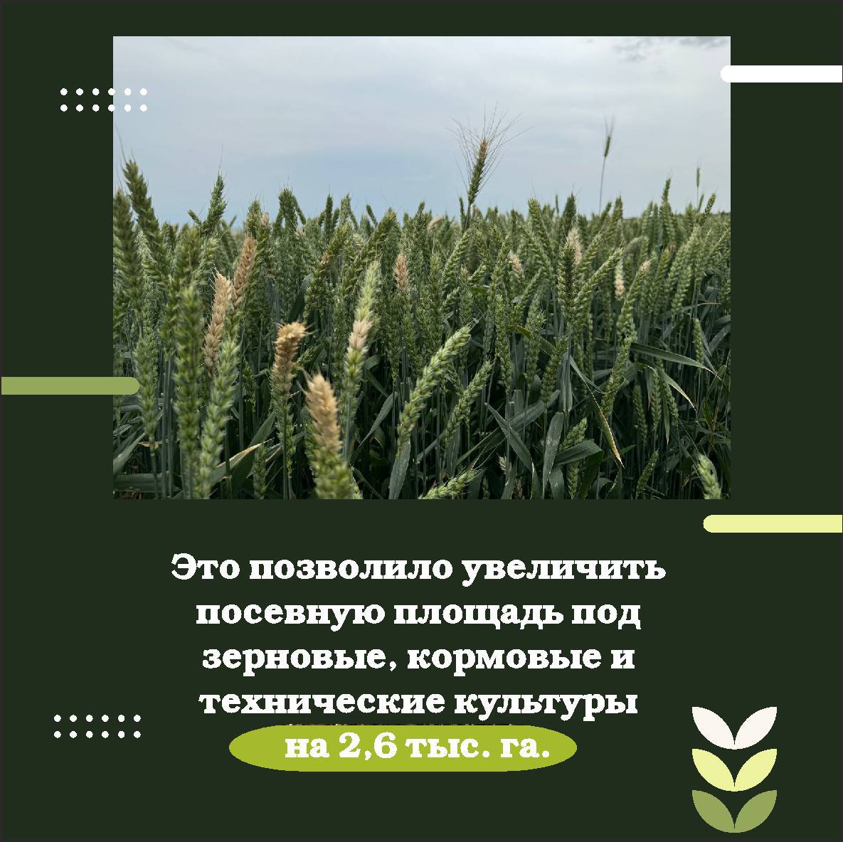 В 2024 году в рамках нацпроекта «Малое и среднее предпринимательство» 4 хозяйства получили субсидию на мелиорацию земель.  Общая сумма финансирования составила 22,8 млн рублей.  Данный вид господдержки возмещает 50% от понесенных затрат на эффективное вовлечение в оборот заброшенных сельхозземель.  В целом в 2024 году в Бурятии план по вводу в оборот выполнен на 100%. Необходимо было освоить не менее 0,5 тыс. га.  Аграриям возмещается часть затрат на восстановление неиспользуемых земель сельскохозяйственного назначения, исходя из ставки на 1 га.  С 2018 года введено в оборот 2,6 тыс. га.  Это позволило увеличить посевную площадь под зерновые, кормовые и технические культуры на 2,6 тыс. га.  Еще 29,9 тыс. га введенных в оборот земель занимают паровые поля, то есть свободные от возделывания основных сельскохозяйственных культур, но обрабатываемые и удобряемые.  Наличие таких земель в структуре севооборота способствует улучшению плодородия почвы. Всего до 2030 года планируется ввести еще порядка 3 тыс. га.