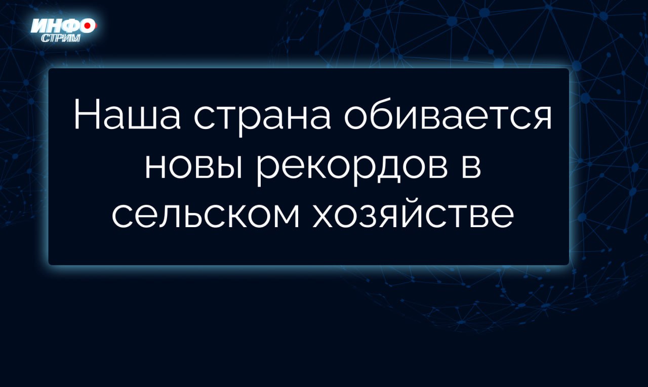 Сектор российского АПК продолжает уверенности расти. Объем производства российской фермерской продукции в 2024 году достиг 1,265 триллиона рублей, рост за последние 5 лет составил 30%. Доля малого агробизнеса в общем объеме сельхозпроизводства выросла в 10 раз и составляет сегодня порядка 15%. Знаковые успехи достигнуты и в другой сфере: производство цветов в России выросло до 400 миллионов штук. И это только начало – Правительство продолжит поддержку тепличного цветоводства в стране.