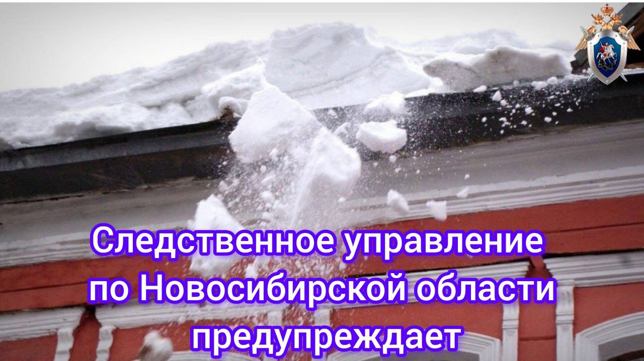 Следственное управление СК России по Новосибирской области предупреждает об опасности травмирования граждан в результате схода снега и льда с крыш зданий  В зимний сезон в правоохранительные органы поступают сообщения о гибели и травмировании граждан в результате схода наледи с крыш зданий В каждом случае следователи СК России устанавливают обстоятельства происшествий дают правовую оценку действиям сотрудников организаций и коммунальных служб ответственных за организацию работы по регулярной и своевременной очистке крыш зданий от снега и наледи на предмет оказания услуг не отвечающих требованиям безопасности жизни и здоровья граждан С этой целью проводятся допросы истребуются документы подтверждающие должностной статус и полномочия изучается правомерность действий бездействия по обеспечению безопасной среды жителей муниципального образования  Во избежание трагических последствий следственное управление по Новосибирской области обращает внимание на необходимость соблюдения правил безопасности при нахождении на улице в зимний период стараться не заходить за ограждения опасных участков не подходить близко к стенам домов и к козырькам подъездов на крышах которых возможно скопление снега сосулек и наледи  Руководителям организаций и управляющих компаний коммунальным службам и владельцам зданий и сооружений следует незамедлительно организовывать работу по своевременной очистке крыш от снега и наледи  В случае серьезного травмирования или гибели человека к уголовной ответственности вплоть до лишения свободы привлекаются собственники домов сотрудники управляющих компаний лица выполняющие административно хозяйственные функции и руководители организаций и учреждений независимо от форм собственности  Родителям следует проявлять бдительность и информировать детей о соблюдении правил безопасности во избежание несчастных случаев