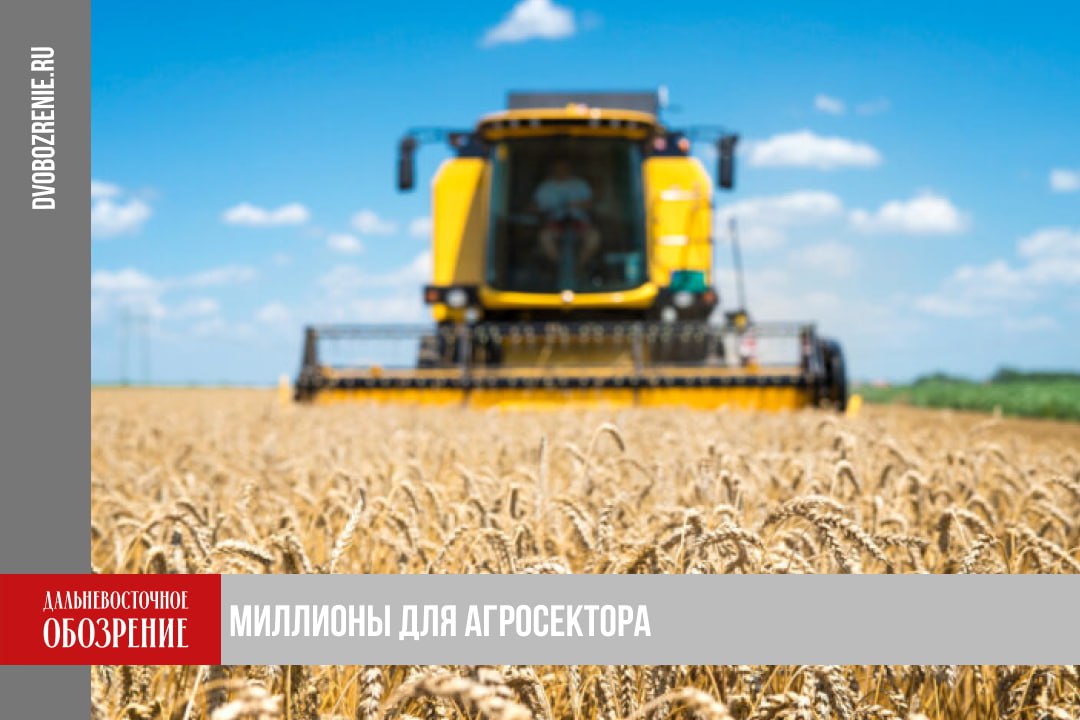 На развитие агропромышленного сектора в Хабаровском крае выделили более 15 млн рублей Компаниям в Хабаровском крае предлагают воспользоваться мерами поддержки для производства и реализации зерновых культур страхования посевов производства овощей и картофеля сообщили в региональном правительстве Для агропромышленного кластера в 2025 году власти выделили 15 1 млн рублей Ранее мы уже поддержали аграриев которые занимаются выращиванием картофеля и зерновых культур Поддержка предоставляется ежегодно рассказал начальник управления по развитию АПК и племенной работы регионального Минсельхоза Александр Сухоручко Также для аграриев выделяются средства на приобретение и лизинг сельскохозяйственной техники В этом году финансовую помощь получили семь агропредприятий Одно из таких прошло конкурсный отбор по поддержке элитного семеноводства На стимулирование процесса сортообновления и сортосмены краевой компании направили 3 3 млн рублей Подробности в материале ДВ Обозрение Другие новости