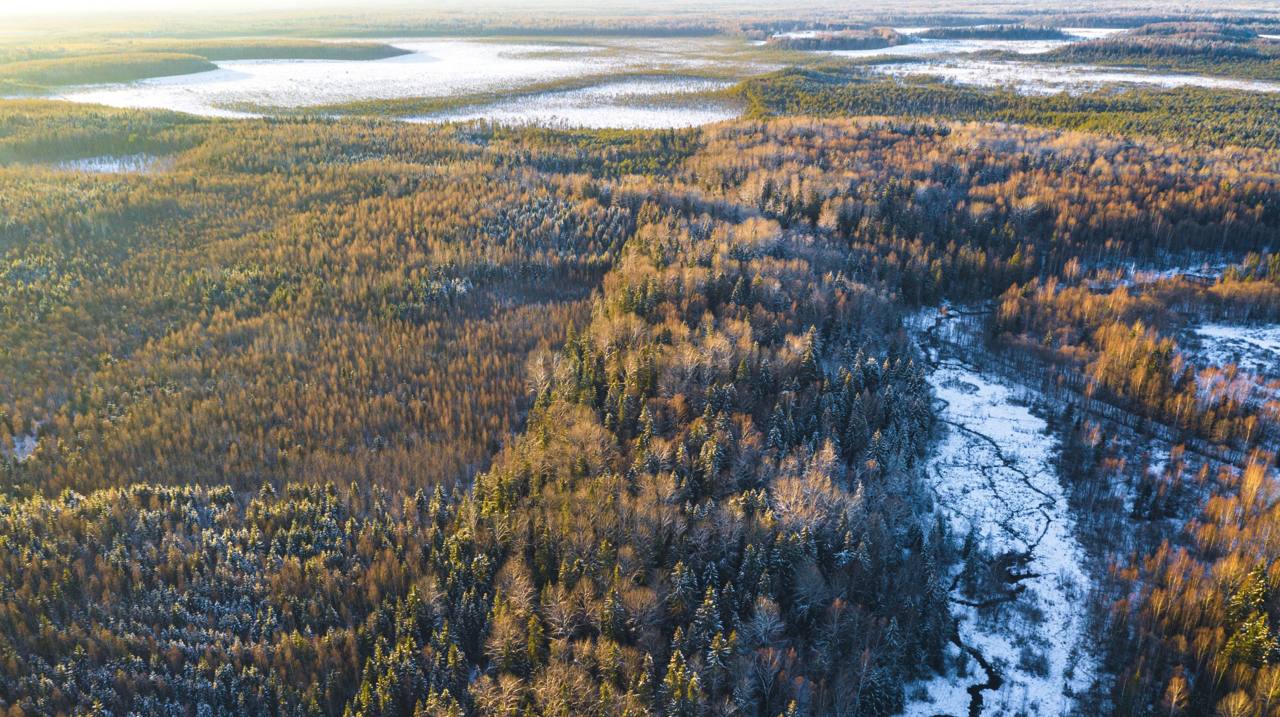 В Запорожской области создана еще одна особо охраняемая природная территория федерального значения национальный парк Великий Луг Общая площадь национального парка который располагается на территории Васильевского муниципального округа составляет более 16 7 тыс га На территории парка произрастает более 300 редких видов растений два из которых занесены в Красную книгу России Кроме того в границах парка обитает более 1 4 тыс видов животных При этом краснокнижными являются 10 видов птиц и 5 видов насекомых Создание национального парка позволит сохранить уникальный природно ландшафтный и историко культурный комплексы степной зоны Подписаться на Правительство России в MAX