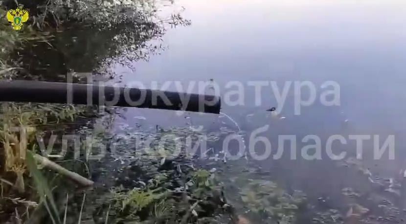 В Туле сбрасывали сточные воды в пруд Центрального парка  В прокуратуру пожаловалось руководство ГУ ТО «Тульские парки».   В целях устранения выявленных нарушений природоохранным прокурором в отношении собственника земли возбуждено дело об административном правонарушении,  — пресс-служба регионального ведомства.   После вмешательства прокуратуры трубу демонтировали.