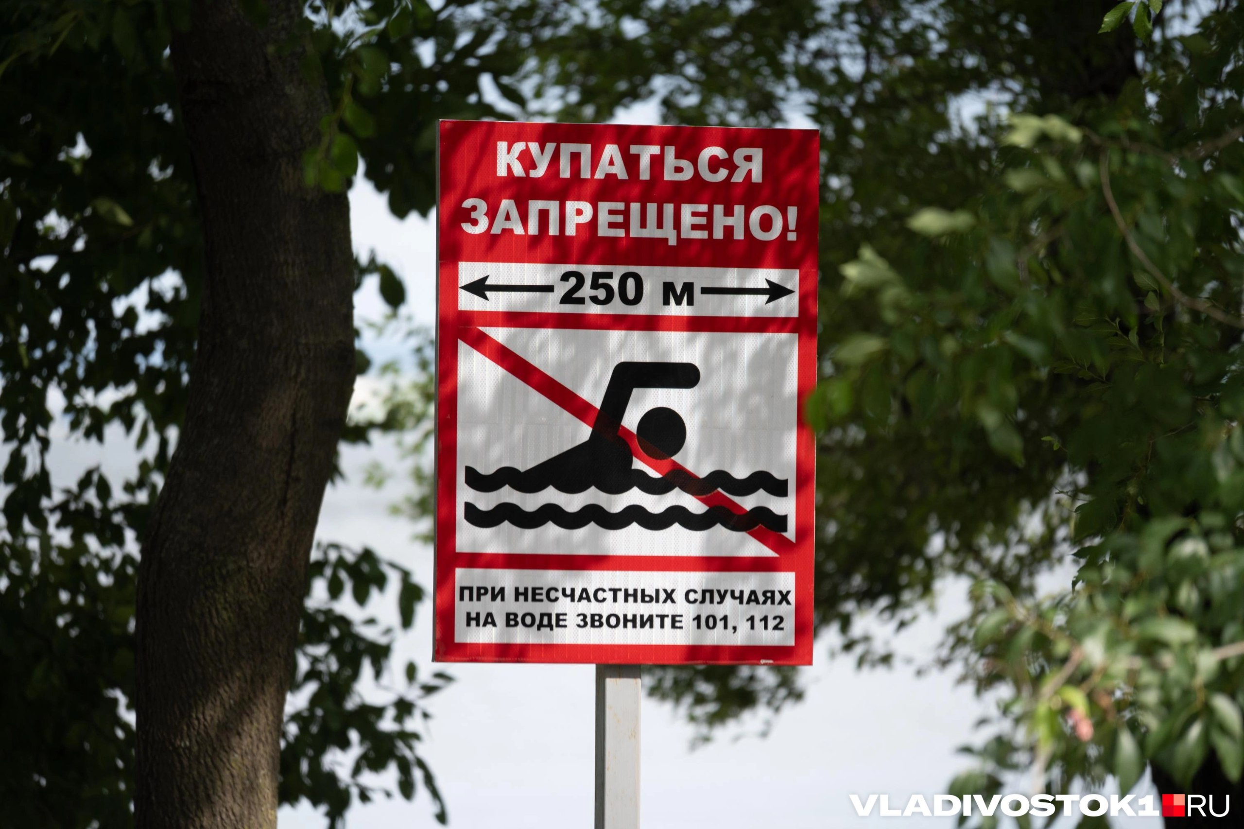 Еще одна трагедия на воде произошла в Приморье Тело 46 летнего мужчины обнаружили в бухте Баклан Хасанского района Случайные очевидцы вытащили его из воды и передали специалистам Когда произошла трагедия и сообщал ли кто то о пропаже не уточняется По данным ГО ЧС Приморья на 28 июля всего за лето на воде погибли более 60 человек что в два раза выше показателей предыдущих лет Подписаться