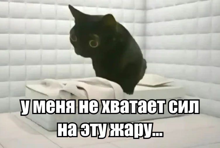 Россиян предупредили, что жара может вызвать апатию А еще обострить психические расстройства. Жаркая погода может спровоцировать тревожность, повышенную нервозность и агрессию, рассказали в психиатрической больнице № 1. «Организм подвергается стрессу, что может приводить к изменениям в эмоциональном состоянии, когнитивных функциях и поведении», – пояснили специалисты. Кроме того, жара негативно влияет на когнитивные способности, приводит к вялости, апатии и трудностям с принятием решений. Напомним, что к выходным синоптики прогнозируют температуру до +30 °C. Готовимся... Подпишитесь на «Абзац» Добавьте «Абзац» в ленту «Дзена»