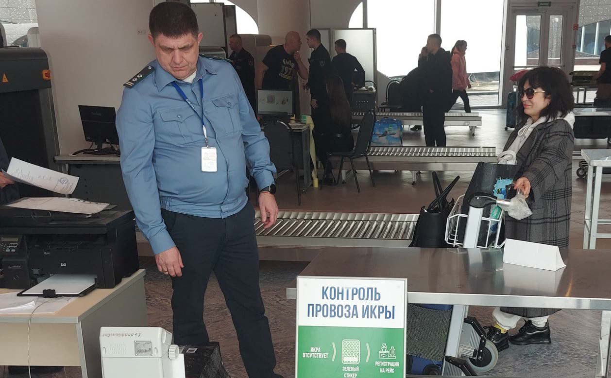 Эксперт на Камчатке браконьерство как индустрия перестало существовать Но остаются родимые пятна Президент Всероссийской ассоциации рыбохозяйственных предприятий ВАРПЭ Герман Зверев считает что на Камчатке с незаконным икорным промыслом помогают бороться ограничения на вывоз в багаже авиапассажиров передает ИА Камчатское время Подробности по ссылке   kamtime ru article b09b6e08 0d55 4322 a2d2 87cf05045b72