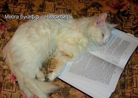 Названо самое длинное слово в русском языке это прилагательное из 55 букв На роль самого длинного слова в русском языке сегодня претендует прилагательное тетрагидропиранилциклопентилтетрагидропиридопиридиновые состоящее из 55 букв Как рассказал заведующий кафедрой общего и русского языкознания Института Пушкина Павел Катышев с помощью искусственного интеллекта удалось выявить именно это слово которое встречается в названии патента на изобретение зарегистрированного в 2006 году Для сравнения в Книге рекордов Гиннесса в 2003 году за самым длинным словом числилось прилагательное превысокомногорассмотрительствующий а до этого рентгеноэлектрокардиографического Подписаться на truekpru Читать нас в MAX