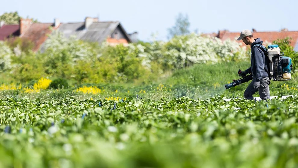 Татарстан и ещё четыре региона получат 547 6 млн рублей на подготовку кадров для агропрома Средства направят на субсидии для студентов аграрных вузов покрытие расходов на проживание и стимулирующие выплаты специалистам участвующим в ключевых проектах АПК Помимо Татарстана дополнительное финансирование получат Башкортостан Бурятия Пензенская и Смоленская области Фото Коммерсантъ Александр Подгорчук kommersantkazan