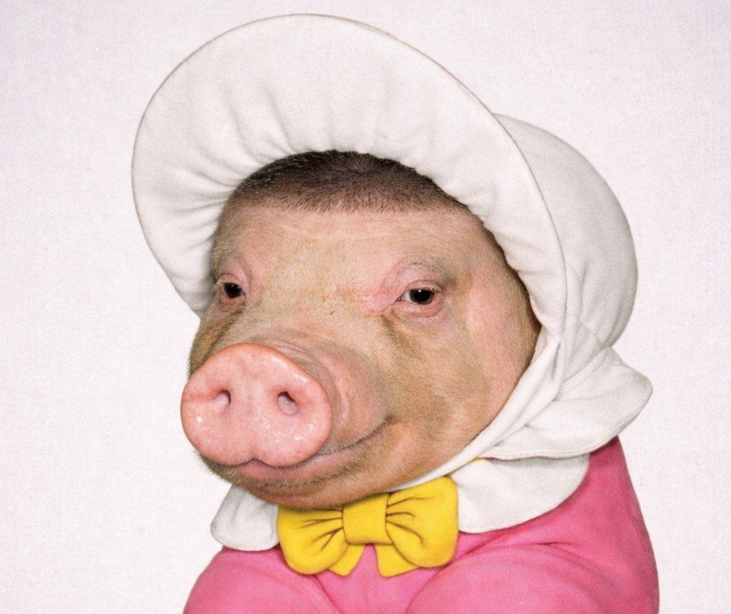 По Приключениям поросёнка Фунтика снимут полнометражный фильм Фунтик будет не поросёнком а каким то мальчиком Снимать начнут уже этой весной Подписаться на core