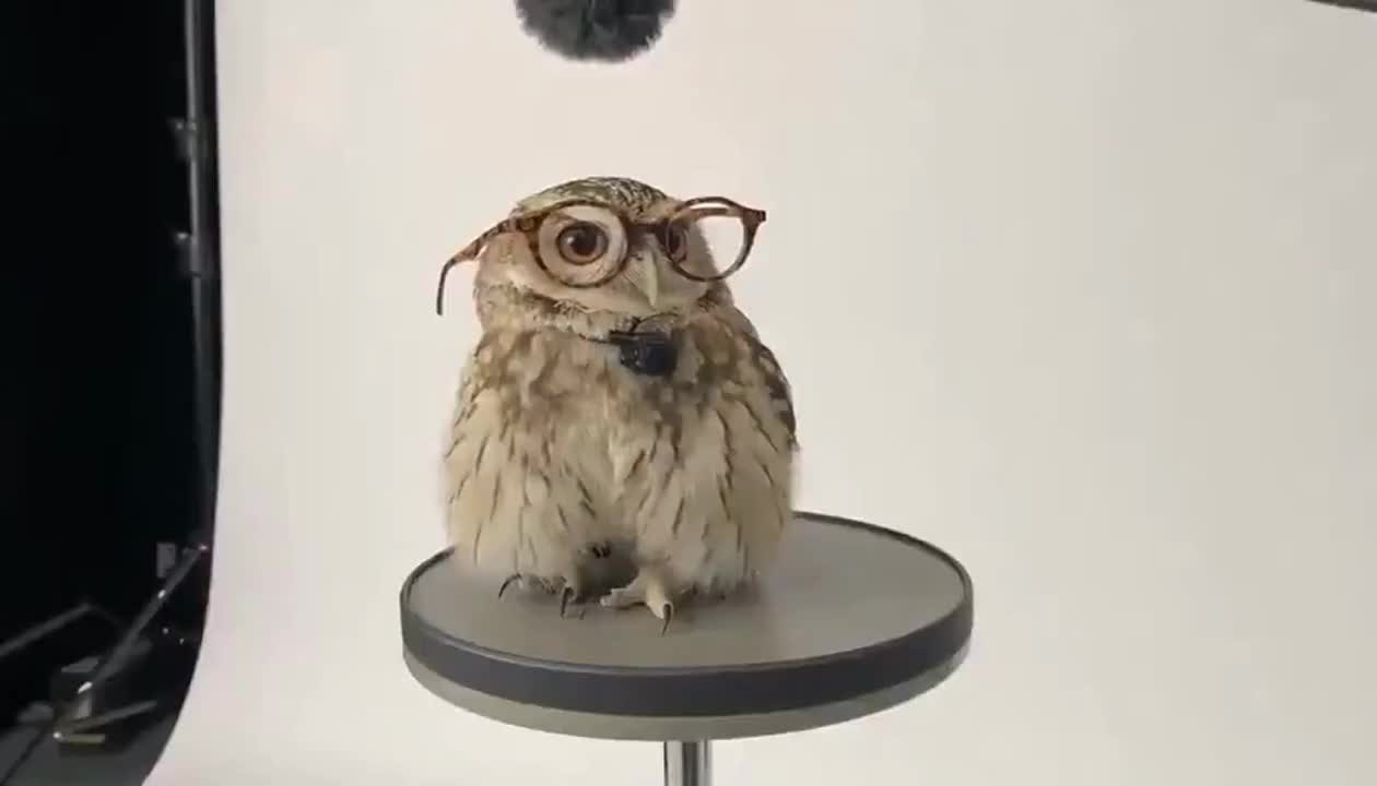 OpenAI упрощает доступ к Sora 2 без кода приглашения