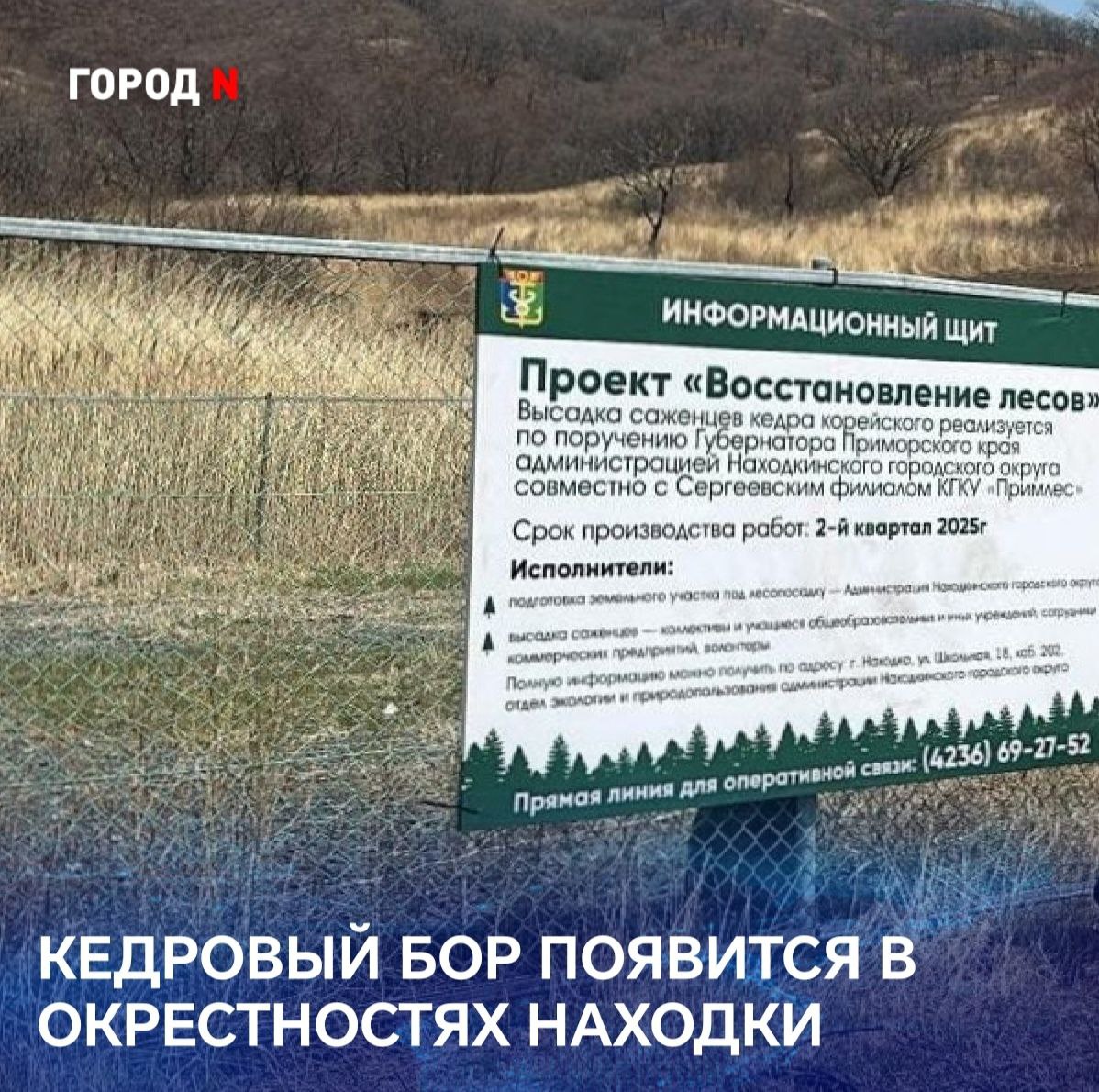 Уже в этом году в окрестностях Находки, напротив детского оздоровительного лагеря "Бухта Отрада", появится настоящий кедровый бор Местные жители были обеспокоены распаханным участком земли напротив лагеря. Однако в чате губернатора сообщили, что поводов для беспокойства нет: земля подготовлена в рамках губернаторского проекта «Восстановление лесов». «Здравствуйте! На данном участке планируется проведение лесовосстановительных мероприятий путём посадки кедров. Ранее территория была не озеленена и характеризовалась наличием травянистой растительности, а также периодическими случаями лесных пожаров». Высадка саженцев запланирована на второй квартал 2025 года. Это будет целая история. В ней примут участие школьники, коллективы городских предприятий, волонтёры. Люди будут сажать деревья своими руками, вкладывая в каждое дерево свои тепло, заботу и любовь. Пройдет время, и на этом месте вырастет красивый кедровый бор — символ единства, заботы о природе и о будущем.