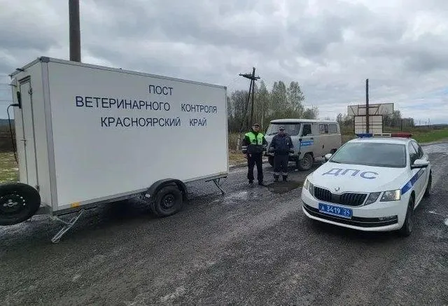 В Боготольском и Шарыповском округах ввели режим повышенной готовности из за вспышек пастереллеза в Кемеровской области Ранее аналогичная инфекция привела к массовому и принудительному уничтожению животных в Новосибирской области На трассе Сибирь заработал круглосуточный пост ветеринарного контроля Полиция и специалисты проверяют все машины чтобы не допустить ввоз зараженного мяса и больных животных без документов Подробнее на Бабре красноярск kras 24