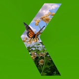 Культура24