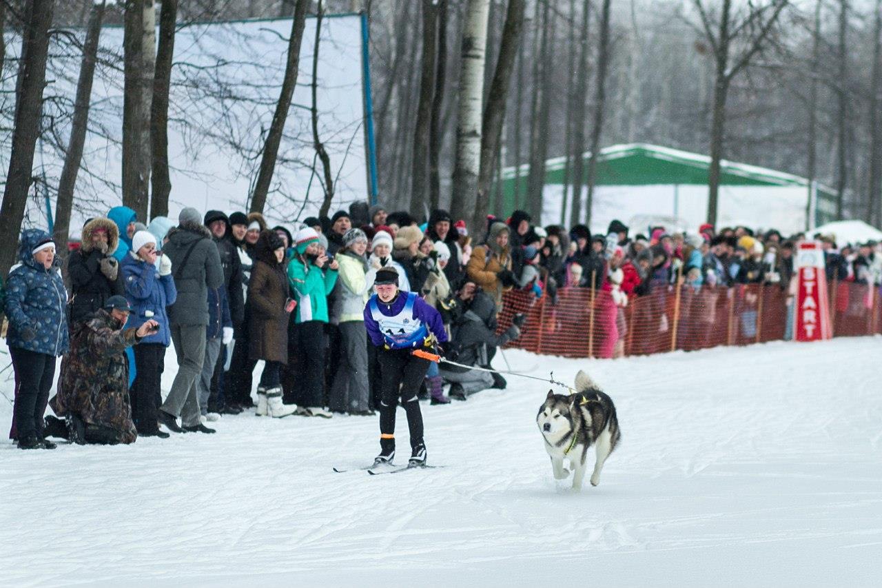 В Самарской области в дни новогодних праздников пройдут спортивные и физкультурные мероприятия афиша В дни новогодних каникул в Самаре будут проходить бесплатные мероприятия физкультурной и спортивной направленности организованные при поддержке министерства спорта Самарской области Мероприятия направлены на пропаганду спорта и здорового образа жизни что отвечает целям государственной программы Спорт России Участвовать в них могут все желающие жители и гости Самарской области Фото Министерство спорта Самарской области