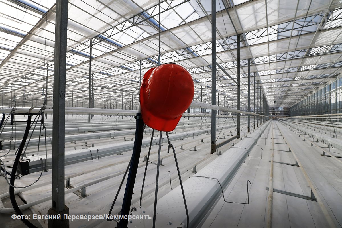 Один из крупнейших производителей в России овощей закрытого грунта ГК Рост может запустить тепличный комплекс в Калининградской области Уровень самообеспеченности овощами в регионе остается невысоким а логистика их поставок из основной части страны непростой Но инвесторы также могут сделать ставку на выращивание цветов Калининград остается ключевым хабом по их импорту в Россию Основными владельцами ГК Рост считаются Сергей Рукин и Дмитрий Лашин Объем производства в 2025 году составил 450 тыс тонн что соответствует уровню 2024 года У группы 22 тепличных комплекса в разных регионах России выпускающих преимущественно томаты зеленый салат и огурцы В Калининградской области она до сих пор не работала Ъузнал