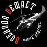 Аватар Телеграм канала: Воевода Вещает