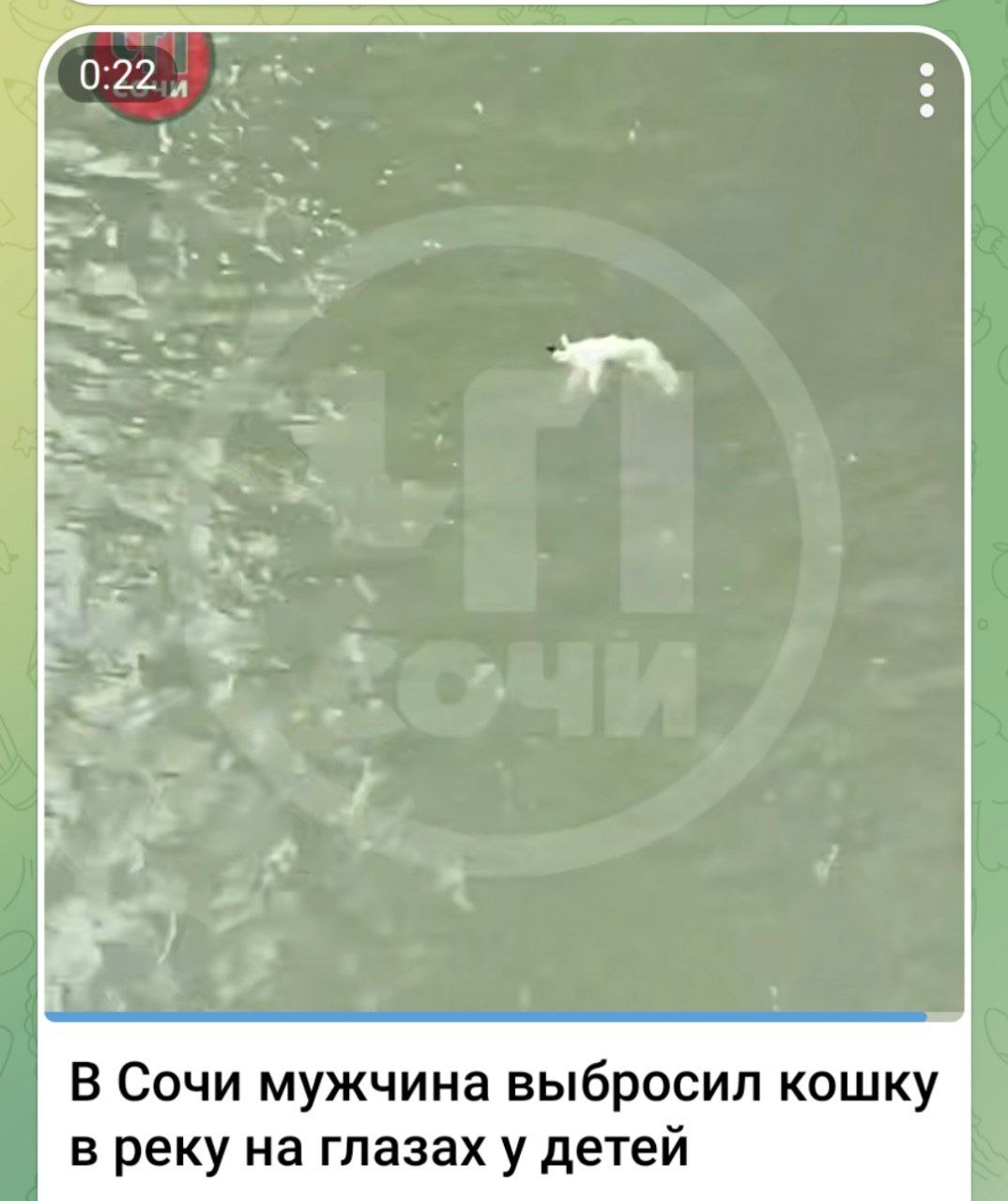 ‼ В ходе мониторинга сети Интернет выявлена публикация о возможном факте жестокого обращении с кошкой в городе Сочи. Со слов автора публикации, на улице Чайковского в городе-курорте пожилой мужчина бросил животное в реку, кошка не смогла выбраться и утонула. По данному факту зарегистрирован материал в ОП Центральный район УВД по г. Сочи. Полицией проводится проверка. Полиция Кубани