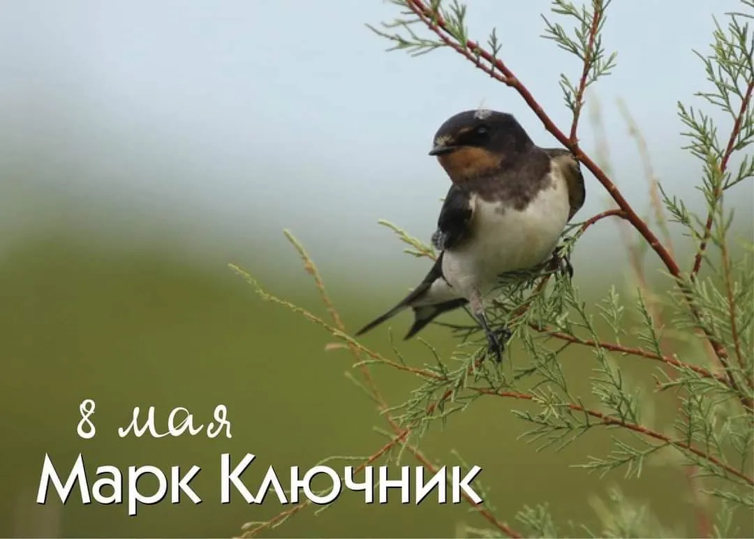 Народный календарь 8 мая Марк Ключник Святого апостола и евангелиста Марка считали обладателем ключей от небесной выси по поверьям он отмыкает дожди а потому его молили защитить поля от засухи Если погода в этот день стоит ясная ожидали хорошего урожая яровых Пора массового прилета певчих птиц которым непременно разбрасывали во дворе угощение конопляное семя В этот день обязательными были очистительные ритуалы в доме мыли прибирали проветривали постельные принадлежности и одежду Для уборки готовили настой из крапивы считалось что эта трава обладает особой очистительной силой и защищает дом от напастей