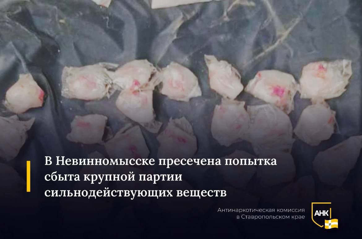 Невинномысскими полицейскими в ходе оперативных мероприятий в СНТ Зеленый мыс и Восход а также на территориях прилегающих к домовладениям расположенным на улицах Пугачева и Заречная в г Невинномысске из тайников сделанных 18 летним и 20 летним местными жителями изъято более 255 г прегабалина Такой внушительный запас запрещенных веществ наркодельцы планировали сбыть путем закладок в промышленной столице края В отношении драгдилеров возбуждено уголовное дело по ч 3 ст 30 ч ч 2 3 ст 234 УК РФ покушение на незаконный оборот сильнодействующих веществ в крупном размере Судебного разбирательства они будут дожидаться в следственном изоляторе