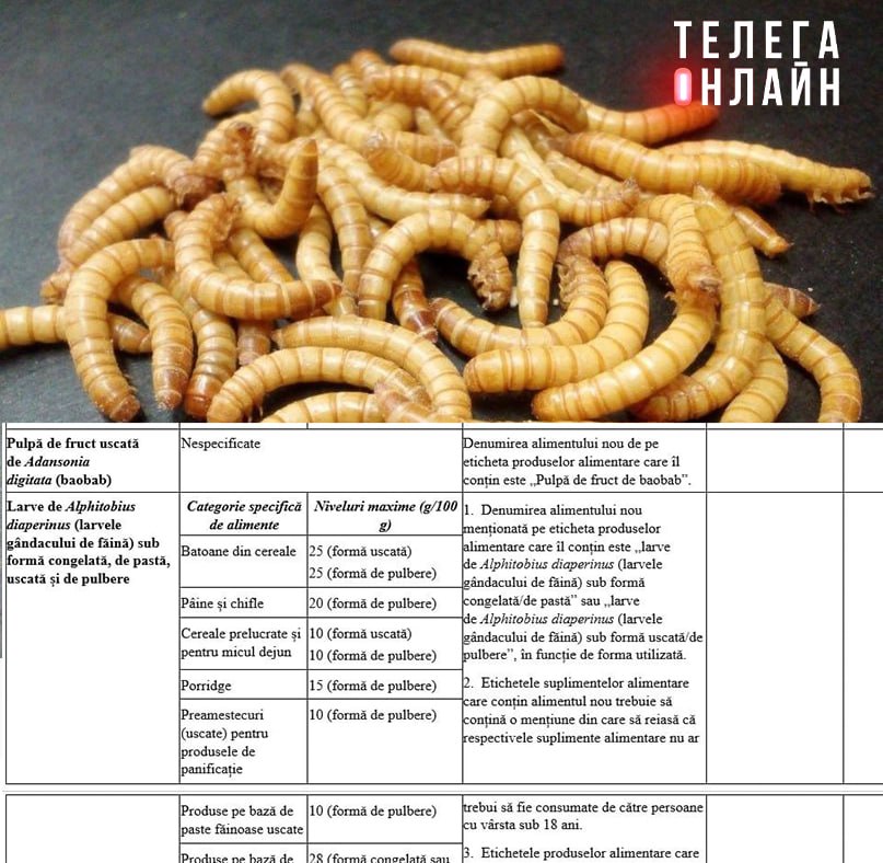 Это уже евроинтеграция или еще нет? Минсельхоз Молдовы внес правки в список продовольственных товаров, добавив в перечень разрешенных ингредиентов личинок мучного жука «в замороженном, пастообразном, сушеном и порошкообразном виде». Документ должен утвердить парламент. Желательно с дегустацией.