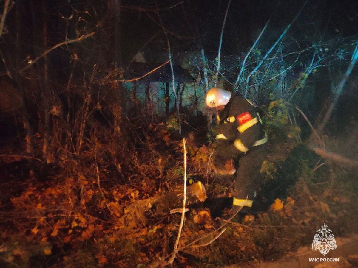 Погода разбушевалась не на штуку: как в Орловской области разбирались с последствиями урагана     Минувшей ночью ураганный ветер сносил деревья в Орловской области. В результате упавшие стволы и ветви преграждали путь орловцам.  ↗  Прислать новость   Подписаться