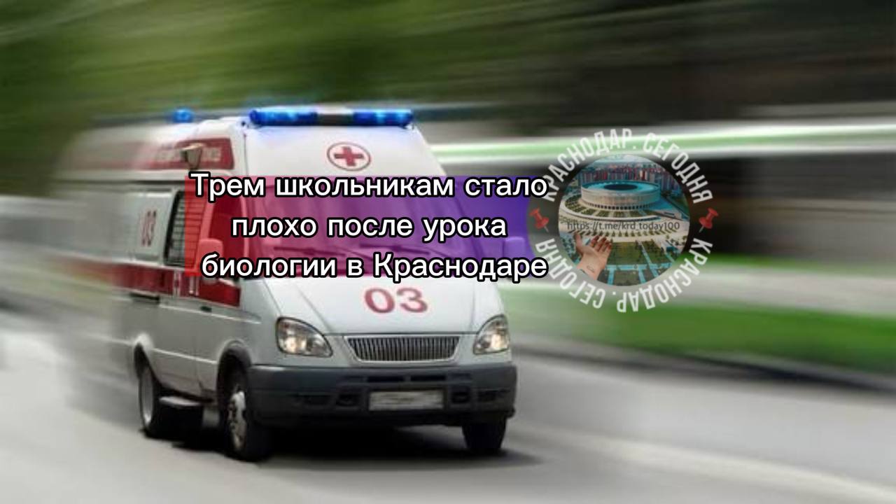Трем школьникам стало плохо после урока биологии в Краснодаре они почувствовали странный запах По информации МЦУ после жалобы на запах учеников сразу же вывели в холл и сообщили о случившемся родителям Одной из семиклассниц стало плохо прямо на уроке Ей помог медработник он вызвал скорую помощь Два других ученика почувствовали недомогание дома Их госпитализировали В кабинете провели генеральную уборку Сегодня занятия проходили по расписанию В школе проводится педагогическое расследование Ситуация на контроле правоохранителей и департамента образования Краснодара Есть интересная новость Присылайте нам Краснодар Сегодня канал в MAX ПРИСЛАТЬ НОВОСТЬ