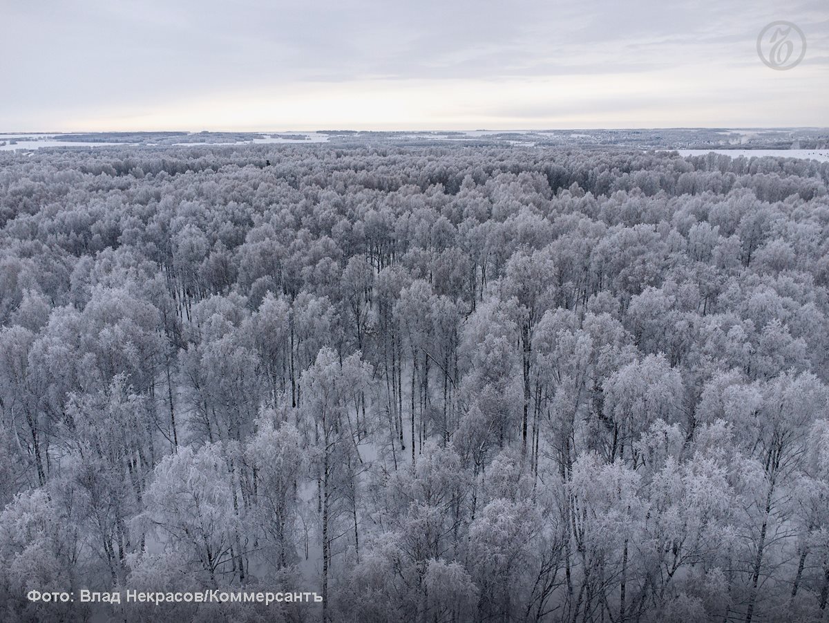 Законопроект разрешающий изменять границы особо охраняемых природных территорий ООПТ рекомендован профильным комитетом Госдумы к принятию Документ в Думу внесло правительство 12 декабря Поправки разрешают как увеличивать так и уменьшать площадь заповедных территорий Это сделает возможным строительство там железных дорог трасс АЭС и других объектов федерального значения Решение о выделении таких участков из ООПТ будет принимать комиссия из федеральных депутатов чиновников и представителей спецслужб Случаи размещения федеральных объектов там будут исключительными уверяют авторы законопроекта в пояснительной записке Опрошенные Ъ юристы опасаются что поправки рождают риски смещения фокуса с охраны природы на коммерциализацию заповедных территорий Подписывайтесь на Ъ в Telegram в MAX Оставляйте бусты