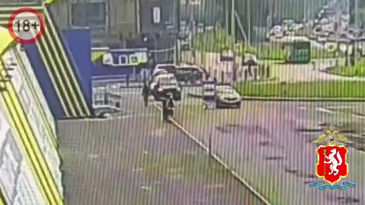 В Екатеринбурге подросток пострадал в ДТП, убегая от агрессивной собаки