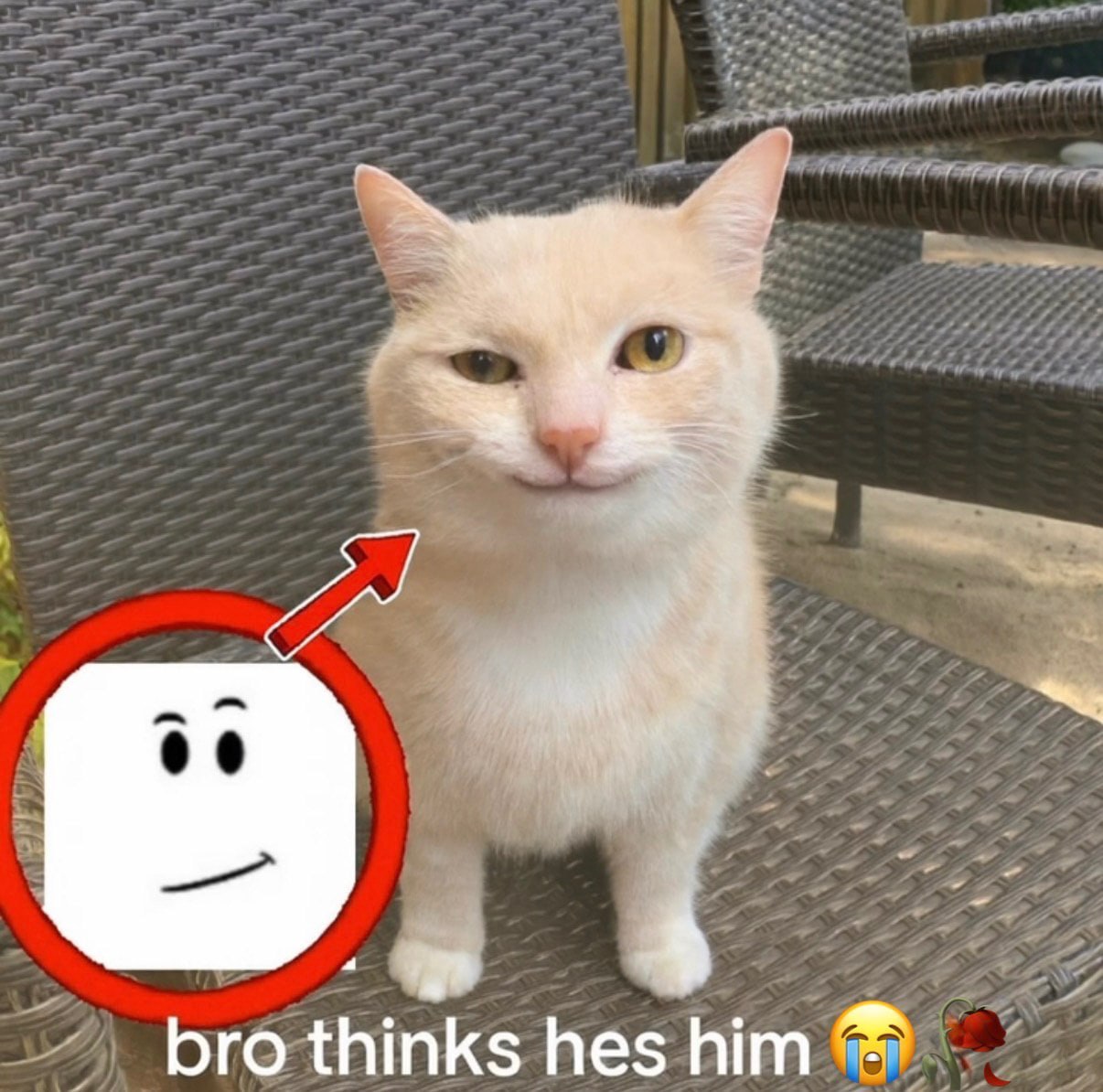 Netflix рассматривала возможность выкупить EA Disney или Fox но всё таки выбор остановила на Warner Bros Discovery Bloomberg не знает когда именно Netflix раздумывала над их покупкой поскольку ту же Fox поглотила сама Disney в 2019 году