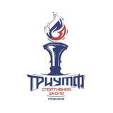 Аватар Телеграм канала: МАУ ДО «СШ «Триумф»
