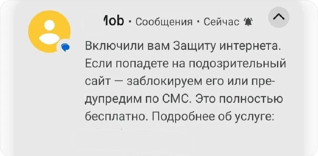 Мобильные операторы начали блокировать россиянам интернет под предлогом защиты от мошенников Услугу назвали Защита интернета и подключают ее абонентам автоматически Уровень заботы поражает