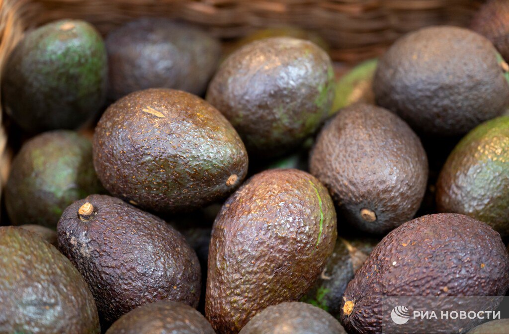 Первое органическое авокадо из Эквадора появится в России Как сообщили РИА Новости в Роскачестве организация выдала сертификаты соответствия органическим требованиям двум производителям из латиноамериканской страны Frank Seelig и UyamaFarms получили право ввозить продукцию в Россию как органическую и маркировать ее знаком Органик Подписаться на РИА Новости