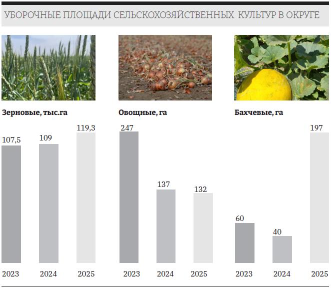 В 2025 году аграрии Арзгирского округа добились хороших результатов в ключевых отраслях сельского хозяйства В растениеводстве с площади 119 3 тыс га было собрано 390 1 тыс тонн зерновых при средней урожайности 32 7 ц га Основной культурой осталась озимая пшеница Также выращено более 4 тыс тонн овощей и 2 тыс тонн бахчевых В животноводстве сохраняется стабильность поголовье КРС составляет 11 тыс голов овец 87 тыс Производство молока увеличилось до 13 тыс тонн 1 а мяса до 5 тыс тонн 3 Развитию сектора способствовали меры господдержки выделено 25 субсидий и активная модернизация В прошлом году был закуплен 21 трактор и более 40 прицепных агрегатов Благодаря обильным осадкам посевы озимых ушли в зиму в хорошем состоянии что дает основания для оптимистичного прогноза на 2026 год