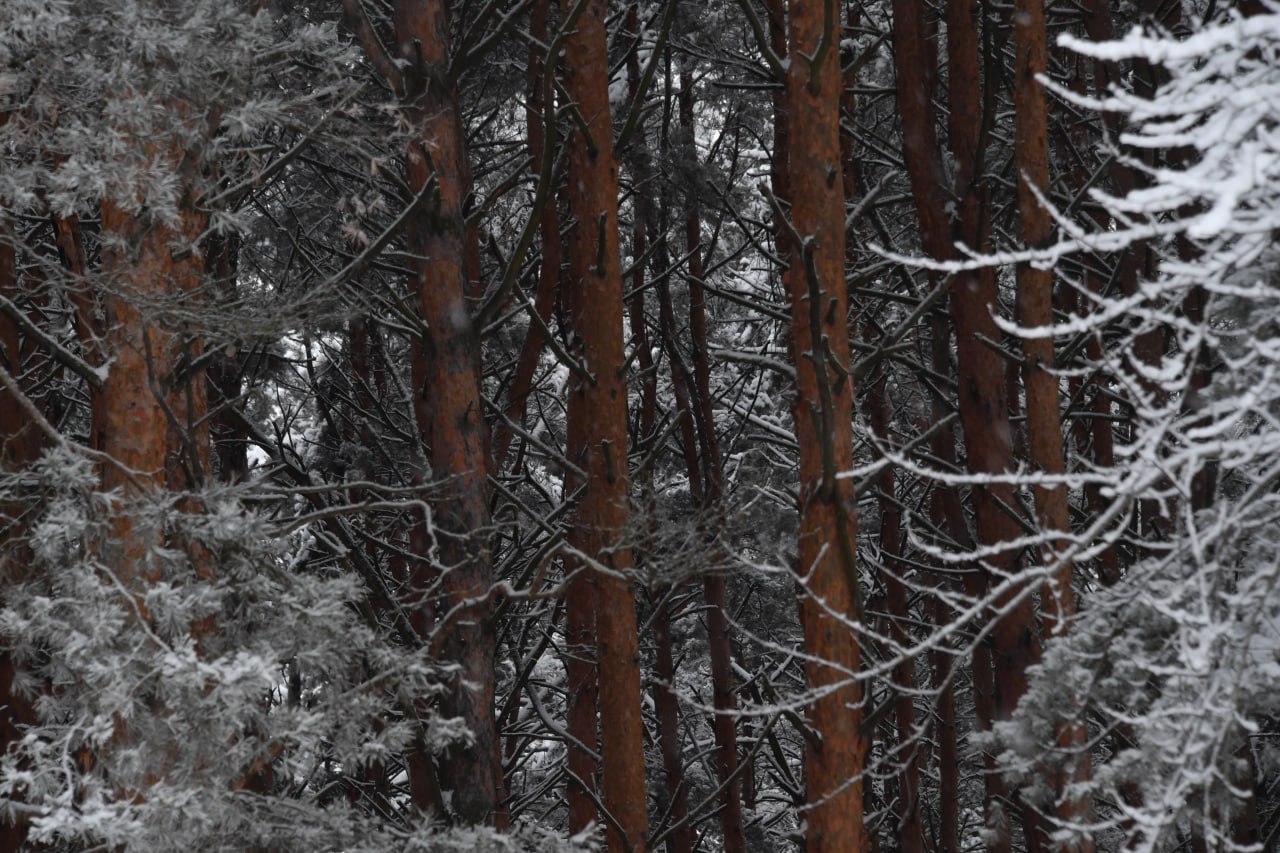 Уехали в мороз за брошенной машиной и пропали В Мирнинском районе развернута поисковая операция 12 февраля утром 39 летний житель Мирного вместе с напарником отправился на белой Toyota Raum в сторону поселка Чернышевский Цель поездки забрать автомобиль который неделю назад встал на трассе Неисправную машину мужчины оставили еще 2 февраля примерно на 175 м километре дороги у поворота на зимник Сами уехали а вернуться за ней решили спустя 10 дней В 13 40 водитель в последний раз вышел на связь с женой После этого телефон замолчал Вечером встревоженная супруга обратилась в ЕДДС Спасатели подняли тревогу однако к тому моменту когда сотрудники ГАИ выехали на поиски следов белой иномарки на трассе уже не обнаружили Ни на самом маршруте ни в точке где стояла брошенная машина Сейчас к поискам подключились службы спасения Мужчины находятся в мороз без связи и их местонахождение неизвестно уже почти сутки Фото Веленгурин Владимир